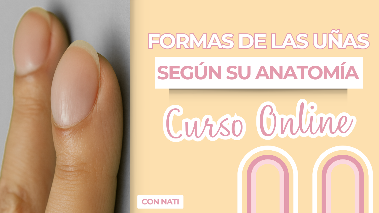 Formas de las Uñas según su Anatomía
